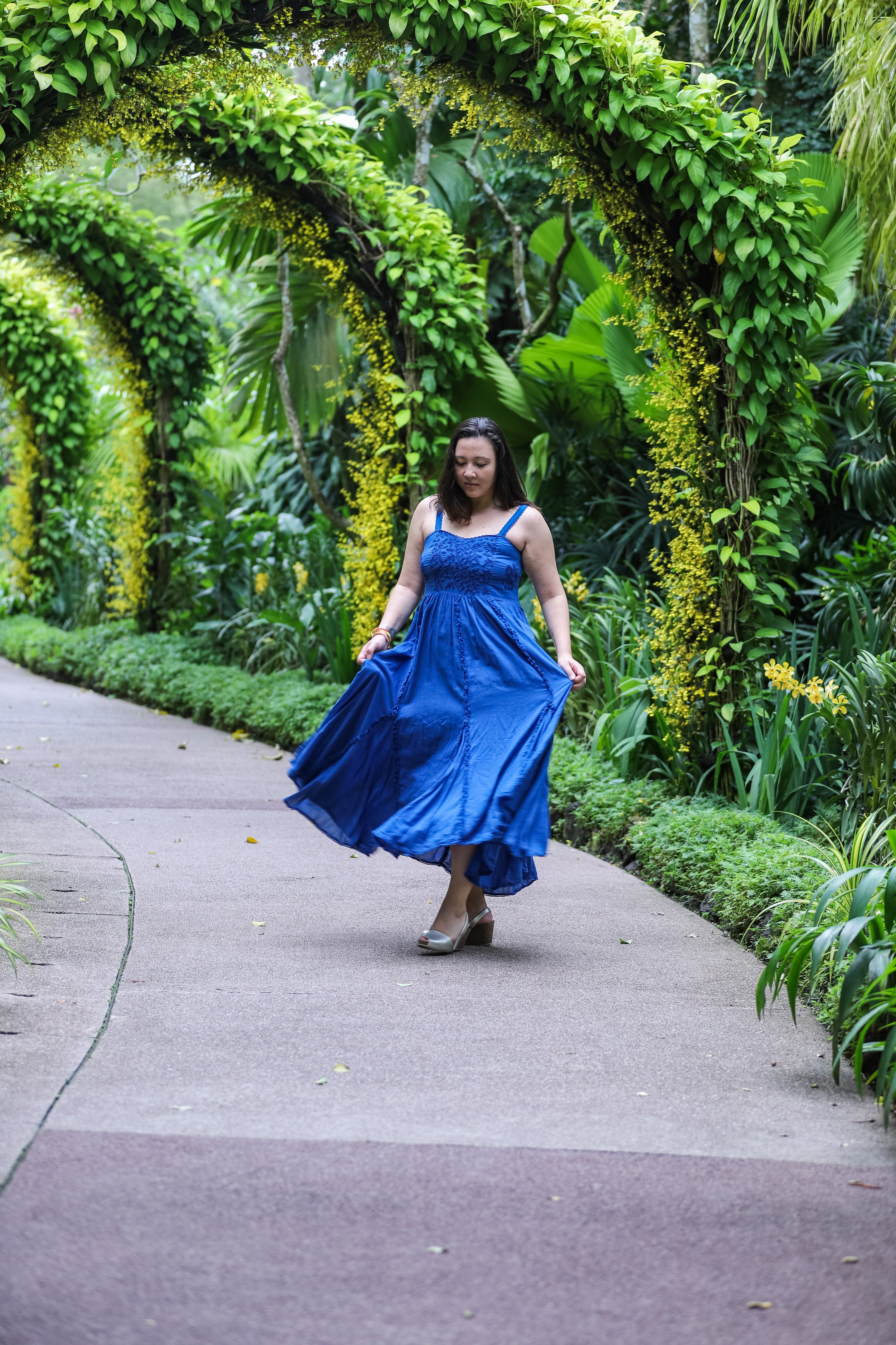 Begonia Maxi